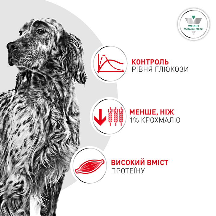 Влажный корм для собак Royal Canin Glycobalance 410 г - masterzoo.ua