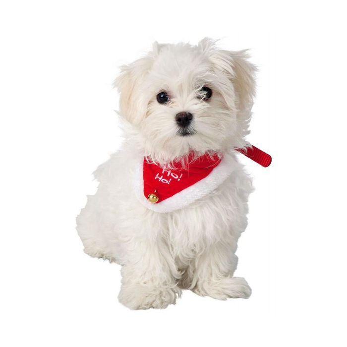 Рождественский ошейник для собак Trixie XS – S: 20–30 см / 15 мм (красно-белый) - dgs - masterzoo.ua