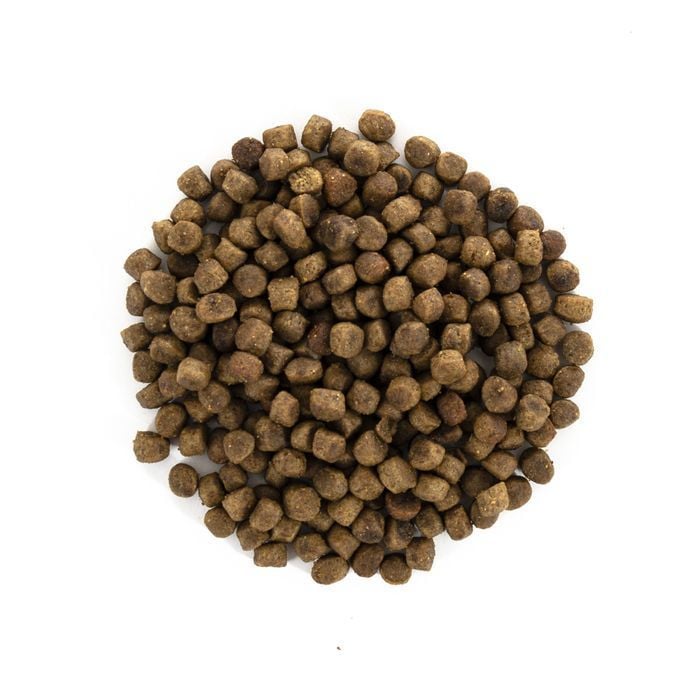 Сухий корм для кошенят Brit Care Grain Free Kitten Health Growth & Development 2 кг - курка та індичка - masterzoo.ua