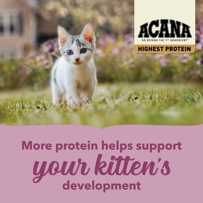 Сухой корм для котят Acana Highest Protein Kitten 1,8 кг - ассорти - masterzoo.ua