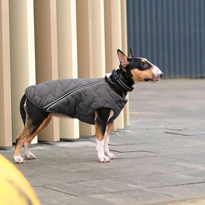 Жилет для собак Pet Fashion E.Vest S-M (сірий) - masterzoo.ua