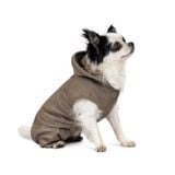 Pet Fashion Pf Style костюм для собак XXS - masterzoo.ua