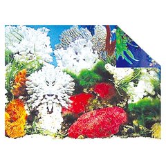 Фон для акваріума KW Zone 32 см / 15 м (корали / рослини) - masterzoo.ua