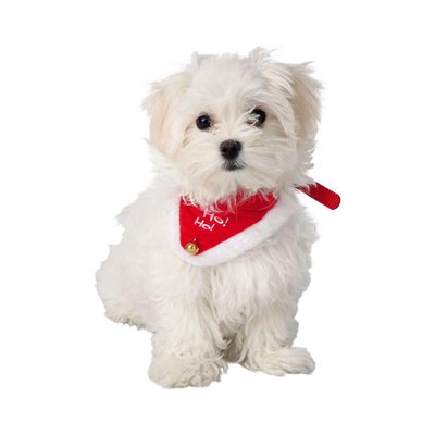 Різдвяний нашийник для собак Trixie S-M: 30-40 см / 20 мм (червоно-білий) - dgs - masterzoo.ua