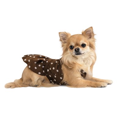 Платье для собак Pet Fashion «Flirt» ХXS (коричневое) - masterzoo.ua