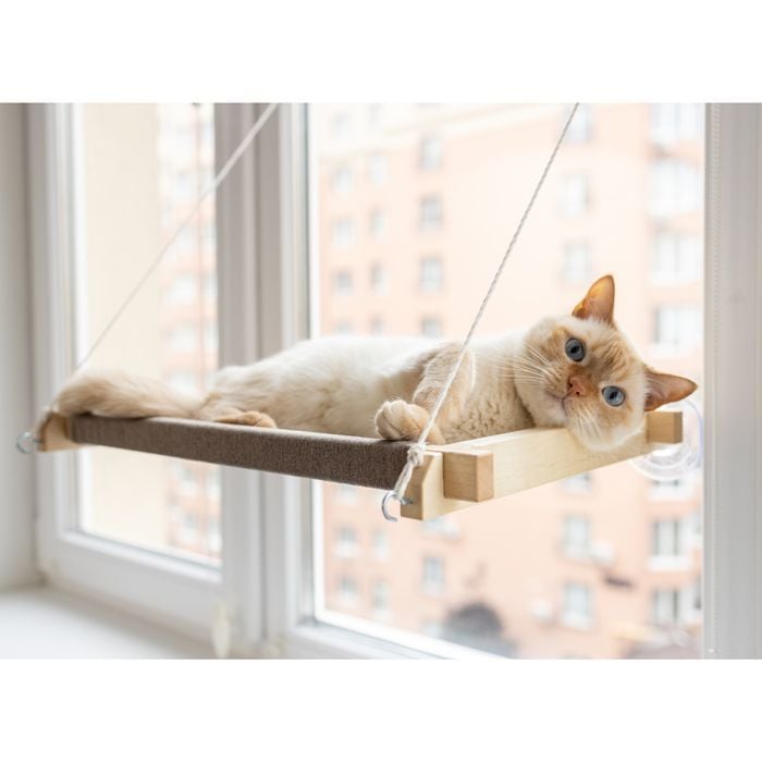 Гамак на вікно для котів PetJoy 54x35x3,5 см - бежево-білий - masterzoo.ua