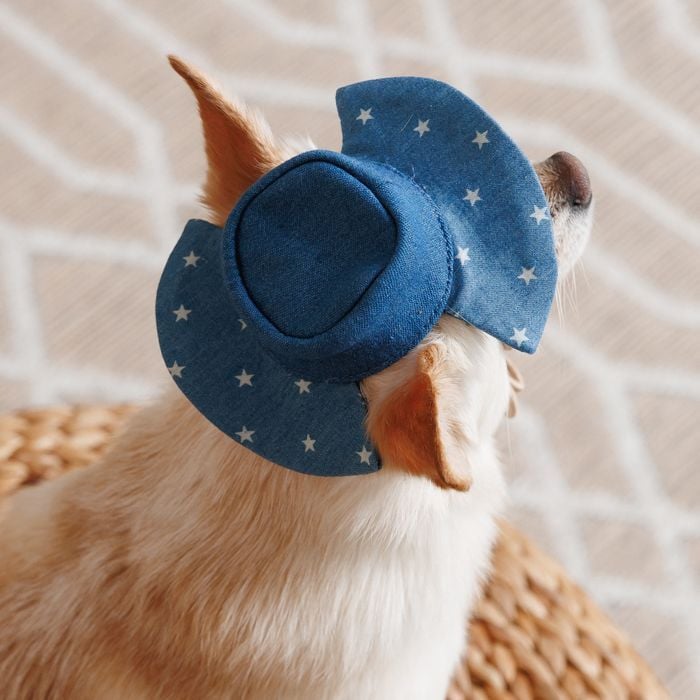 Панама Pet Fashion Stars M - синий - masterzoo.ua