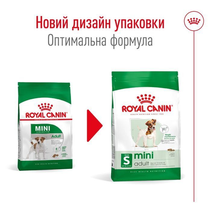 Cухий корм для собак Royal Canin Mini Adult 4 кг - masterzoo.ua