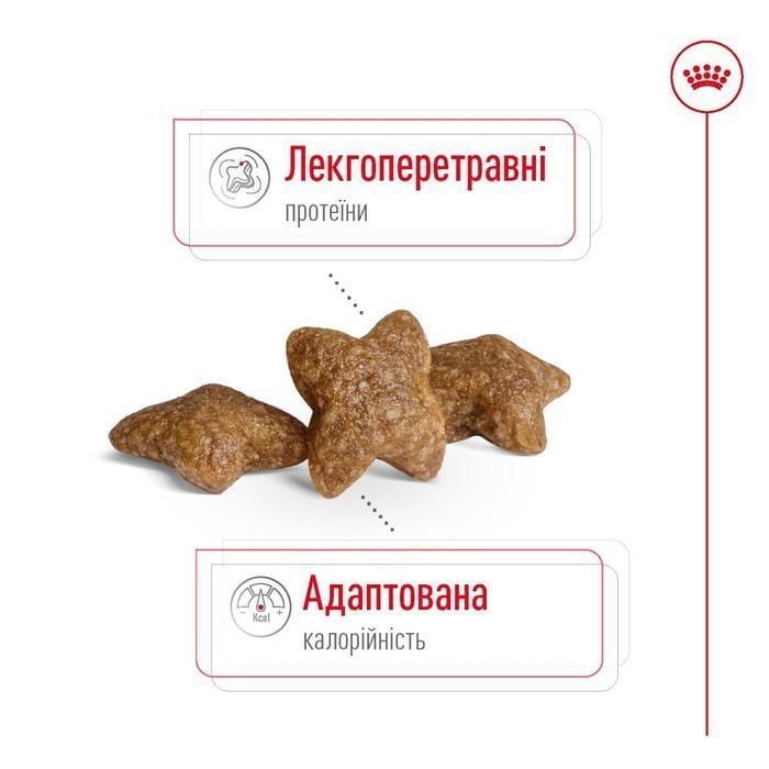 Cухий корм для собак Royal Canin Mini Adult 4 кг - masterzoo.ua