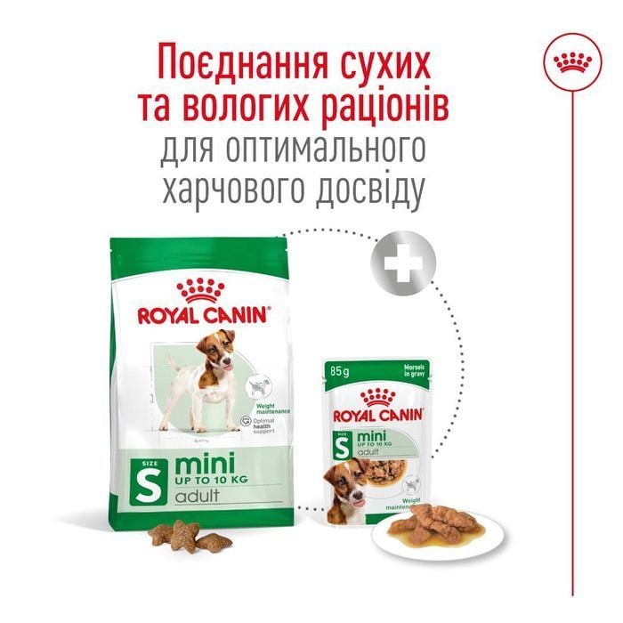 Cухий корм для собак Royal Canin Mini Adult 4 кг - masterzoo.ua