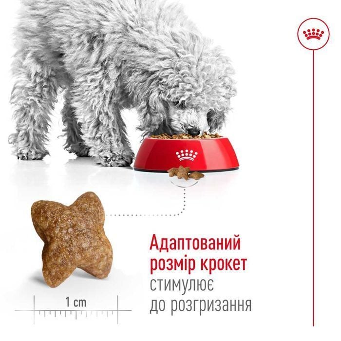 Cухий корм для собак Royal Canin Mini Adult 4 кг - masterzoo.ua