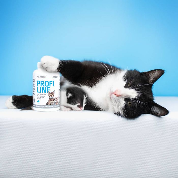 Вітаміни для котів ProVET Profiline Комплекс 180 таблеток - masterzoo.ua