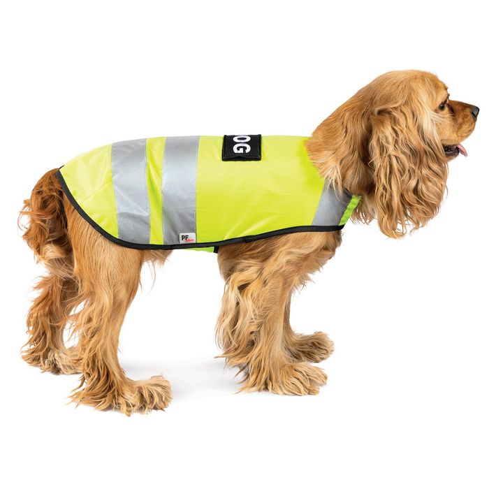 Жилетка для собак Pet Fashion «Yellow Vest» L - masterzoo.ua