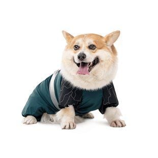 Комбинезон для собак Pet Fashion Den L корги - masterzoo.ua