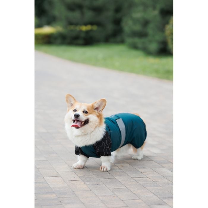 Комбинезон для собак Pet Fashion Den L корги - masterzoo.ua
