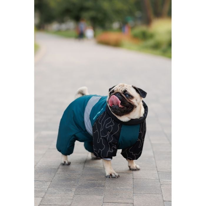 Комбинезон для собак Pet Fashion Den L корги - masterzoo.ua