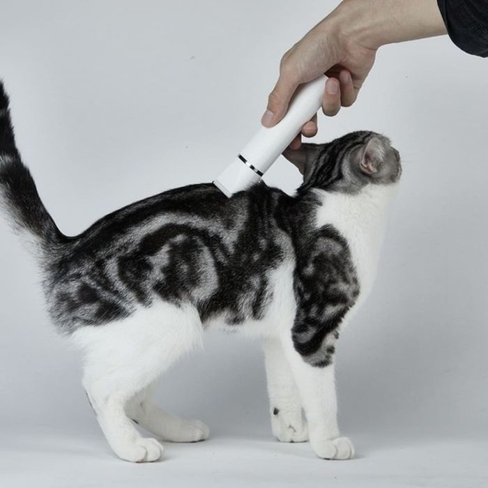 Машинка для стрижки собак Petkit 2 in 1 Pet Trimmer Pro - masterzoo.ua