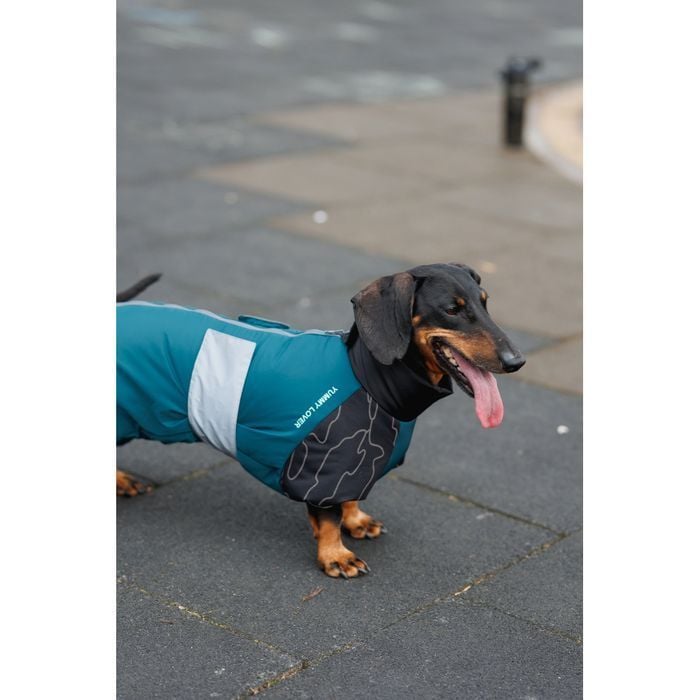 Комбинезон для собак Pet Fashion Den L корги - masterzoo.ua