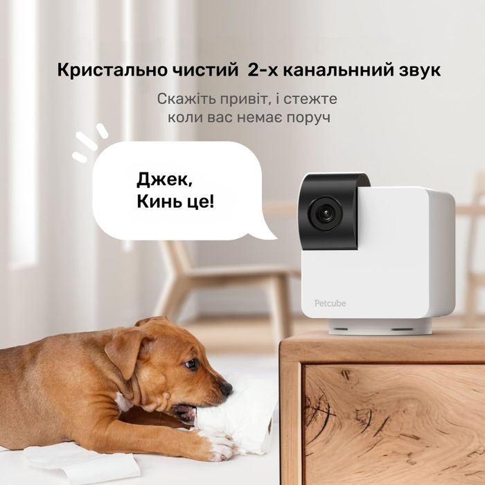 Интерактивная HD-камера Petcube Cam 360 видеонаблюдение за домашними любимцами- cts - masterzoo.ua