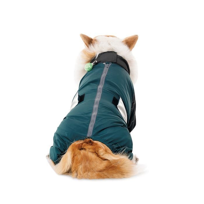 Комбинезон для собак Pet Fashion Den L корги - masterzoo.ua