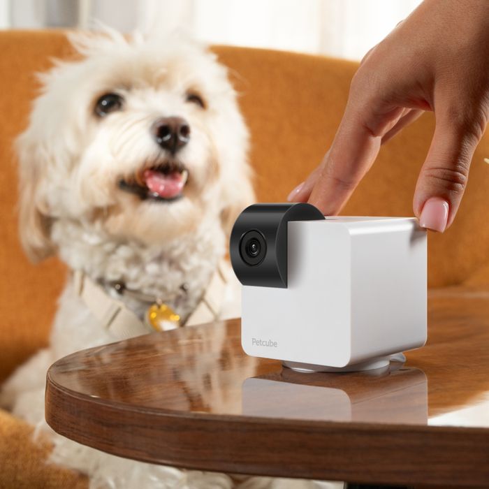 Интерактивная HD-камера Petcube Cam 360 видеонаблюдение за домашними любимцами- cts - masterzoo.ua