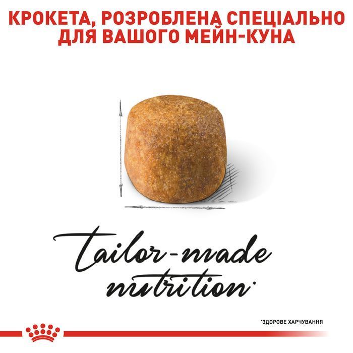Сухой корм для кошек Royal Canin Maine Coon Adult 4 кг + Минеральный наполнитель Catsan Гигиена Плюс 5 л &ndash; без аромата - masterzoo.ua