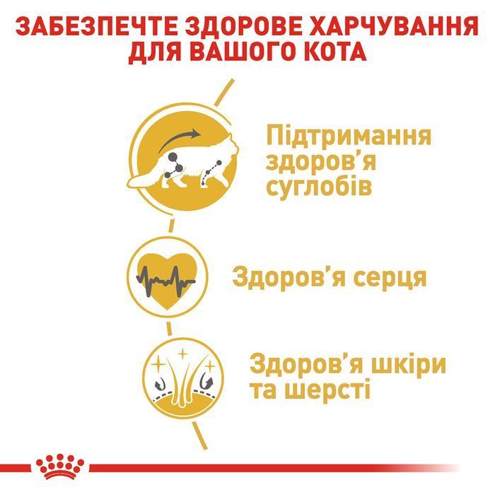 Сухой корм для кошек Royal Canin Maine Coon Adult 4 кг + Минеральный наполнитель Catsan Гигиена Плюс 5 л &ndash; без аромата - masterzoo.ua