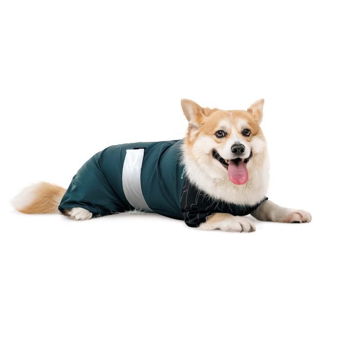 Комбинезон для собак Pet Fashion Den L корги - masterzoo.ua