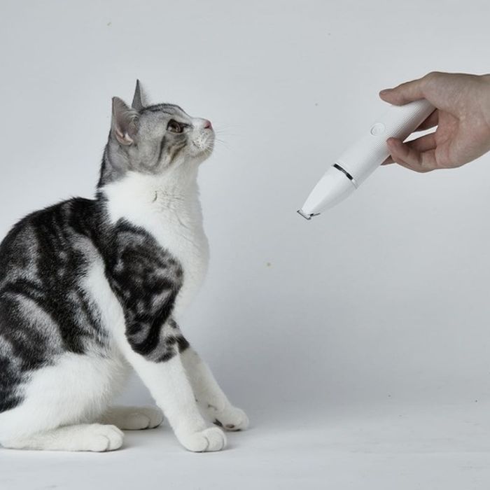 Машинка для стрижки собак Petkit 2 in 1 Pet Trimmer Pro - masterzoo.ua