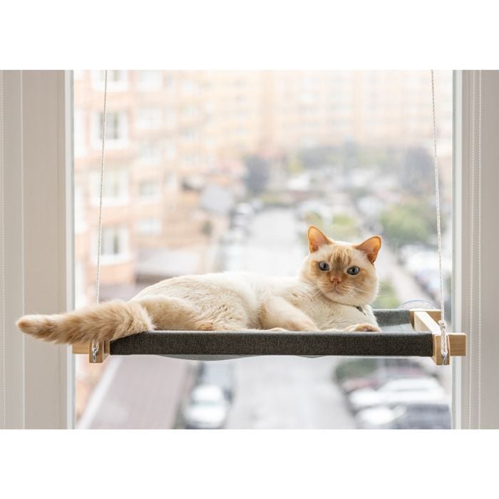 Гамак на вікно для котів PetJoy 54x35x3,5 см - біло-сірий - masterzoo.ua