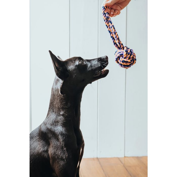 Игрушка для собак Hunter Jena Мяч с веревкой 24 см - masterzoo.ua