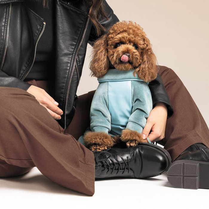 Комбінезон для собак Pet Fashion «COMFORT» XS - masterzoo.ua