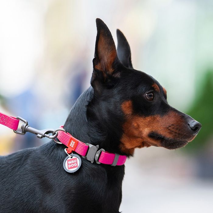 Ошейник для собак COLLAR Водостойкий S - розовый - masterzoo.ua