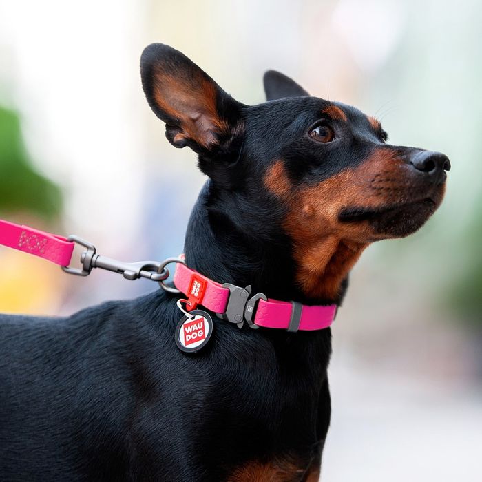 Нашийник для собак COLLAR Водостійкий S - рожевий - masterzoo.ua