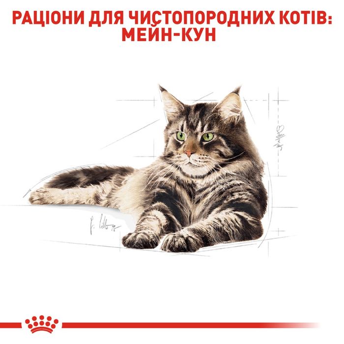 Корм для кошек Royal Canin Maine Coon Adult 2 кг + pouch 12 шт х 85 г + интерактивная кормушка - masterzoo.ua
