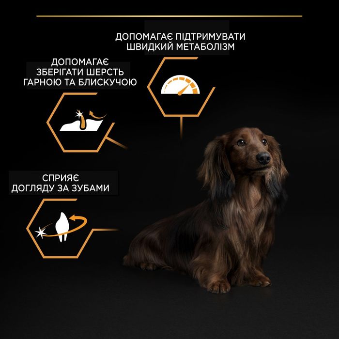 Сухий корм для дорослих собак дрібних порід Pro Plan Adult Small & Mini 7 кг (курка) - masterzoo.ua