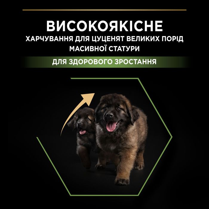 Сухий корм для цуценят великих порід Pro Plan Puppy large Robust 12 кг (курка) - masterzoo.ua
