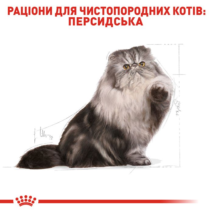 Сухой корм для взрослых кошек персидской породы Royal Canin Persian Adult 2 кг - домашняя птица - masterzoo.ua