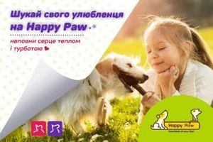Master Zoo начинает сотрудничество с благотворительным фондом Happy Paw