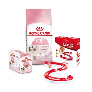 Набір сухого і вологого корму для кошенят Royal Canin Kitten 2 кг + 12 шт х 85 г pouch  + лабіринт у подарунок - masterzoo.ua