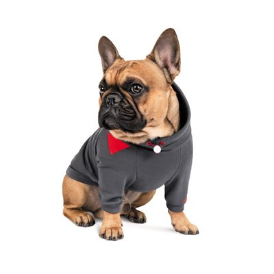 Худи для собак Pet Fashion «Snoodie» S (серый) - masterzoo.ua