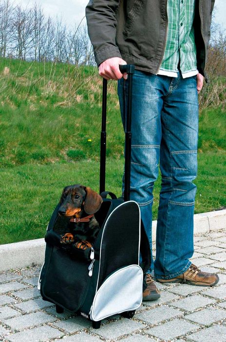 Тележка-переноска для собак и котов весом до 8 кг Trixie 36 x 50 x 27 см (чёрная) - masterzoo.ua