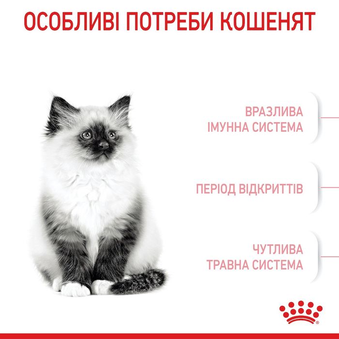 Набор сухого и влажного корма для котят Royal Canin Kitten 2 кг + 12 шт х 85 г pouch + лабиринт в подарок - masterzoo.ua