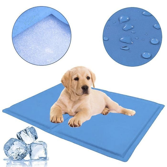 Коврик охлаждающий для собак Pet Fun S 30х40 см - цвет в ассортименте - masterzoo.ua