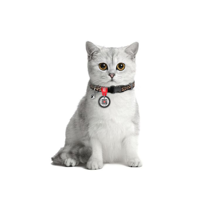 Нашийник для котів COLLAR Нейлон XS - леопард - masterzoo.ua