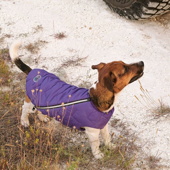 Жилетка для собак Pet Fashion E.Vest S (фиолетовый) - masterzoo.ua
