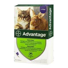 Капли на холку для кошек и кроликов Bayer «Advantage» (Адвантейдж) от 4 до 8 кг, 4 пипетки (от внешних паразитов) - rds - masterzoo.ua