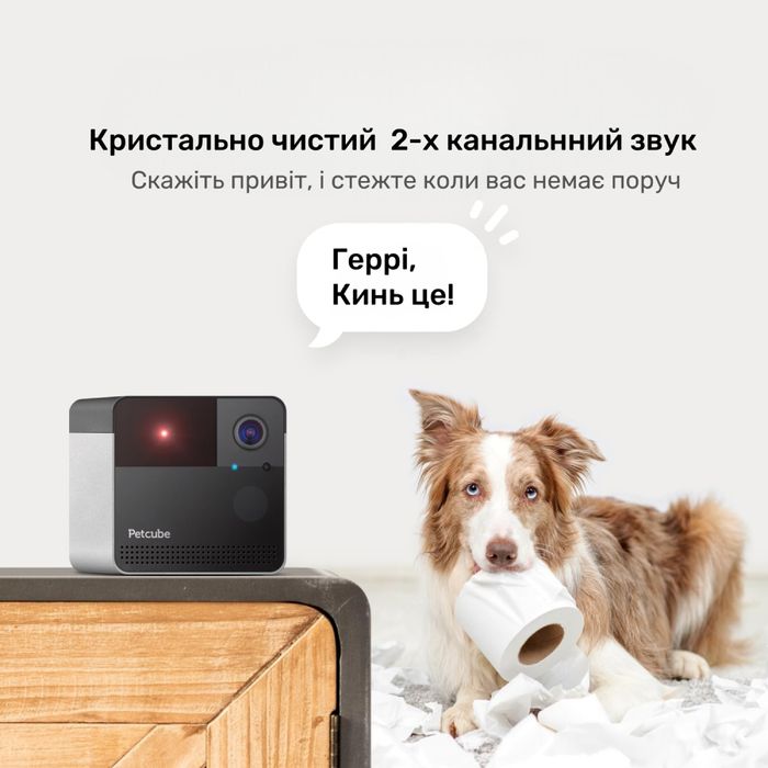 Інтерактивна HD-камера Petcube Play 2 відеоспостереження за домашніми улюбленцями - cts - masterzoo.ua