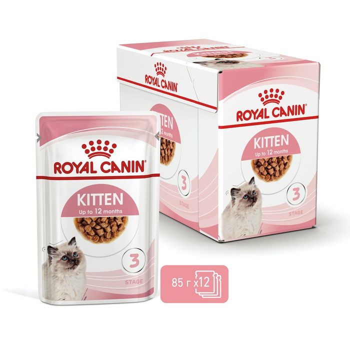 Корм для котят Royal Canin Maine Coon Kitten 2 кг + pouch 12 шт х 85 г + интерактивная кормушка - masterzoo.ua