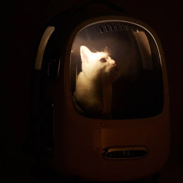 Рюкзак-переноска для котов Petkit Breezy 2 Smart Cat Carrier White - masterzoo.ua